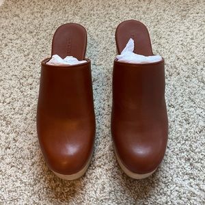 Everlane clog